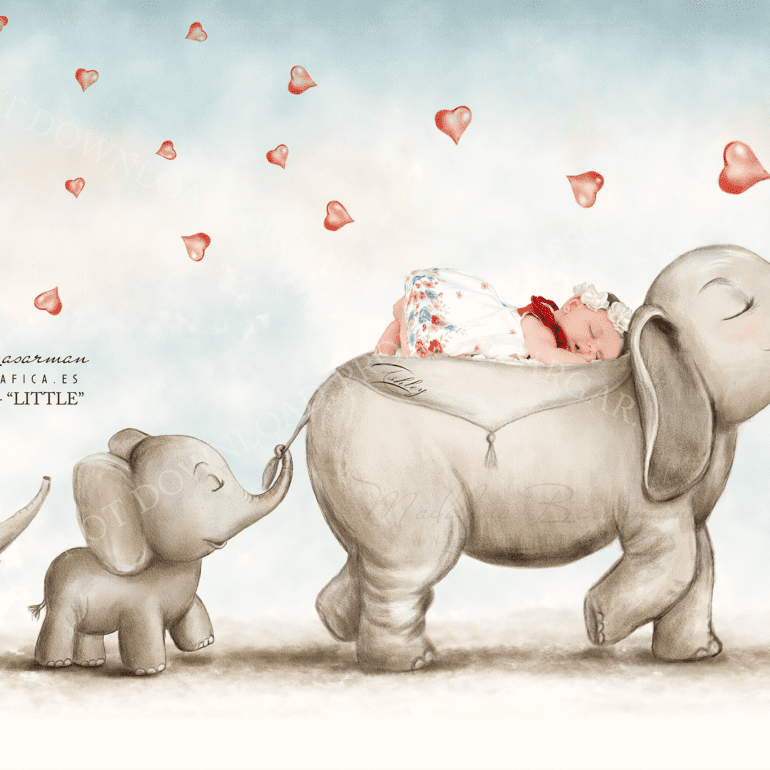 ASHLEY Y LOS ELEFANTES FOTOGRAFÍA FINE ART LOGROÑO LARDERO LA RIOJA ESPAÑA