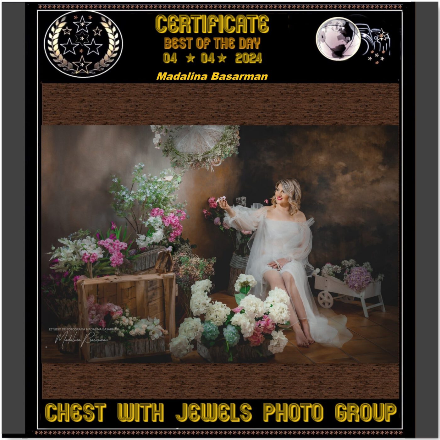 Certificate BEST OF THE DAY Madalina Basarman CHEST WITH JEWELS PHOTO GROUP