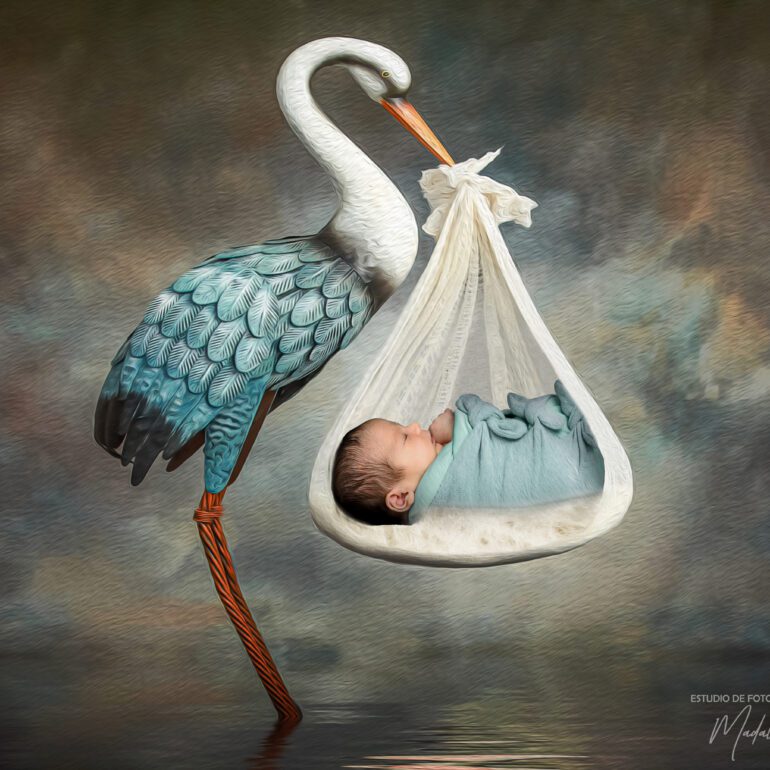 SEBASTIAN SESION FOTOGRAFICA NEWBORN