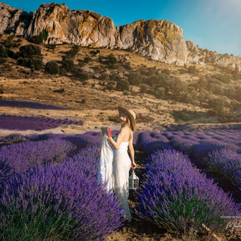 Fotografía en los campos de lavanda Sesión de retrato artístico en campo de lavanda con Andreea