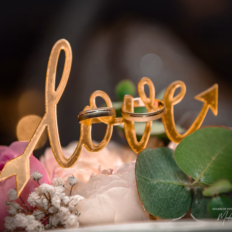 Fotografia de boda Boda Diana y Gabriel ()